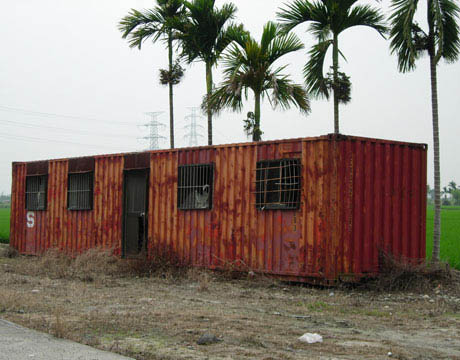 container live