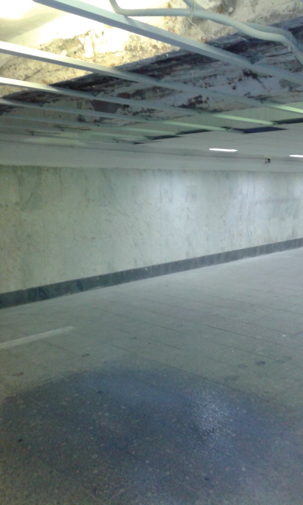 20140825_103534