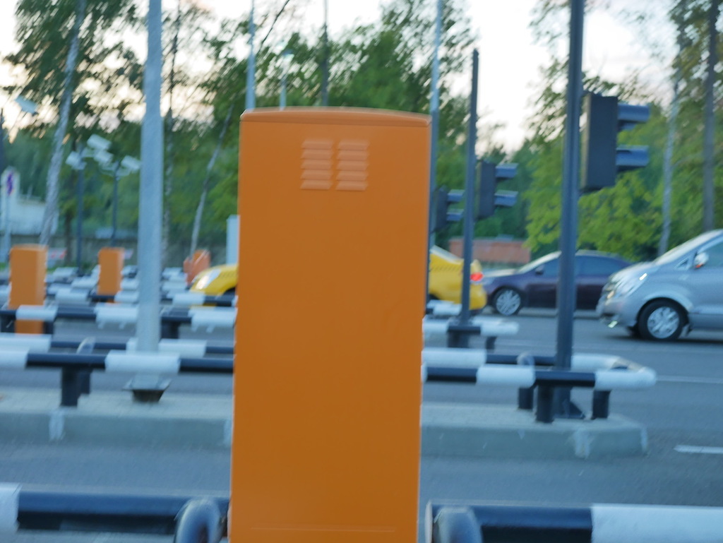 P1000944JPG