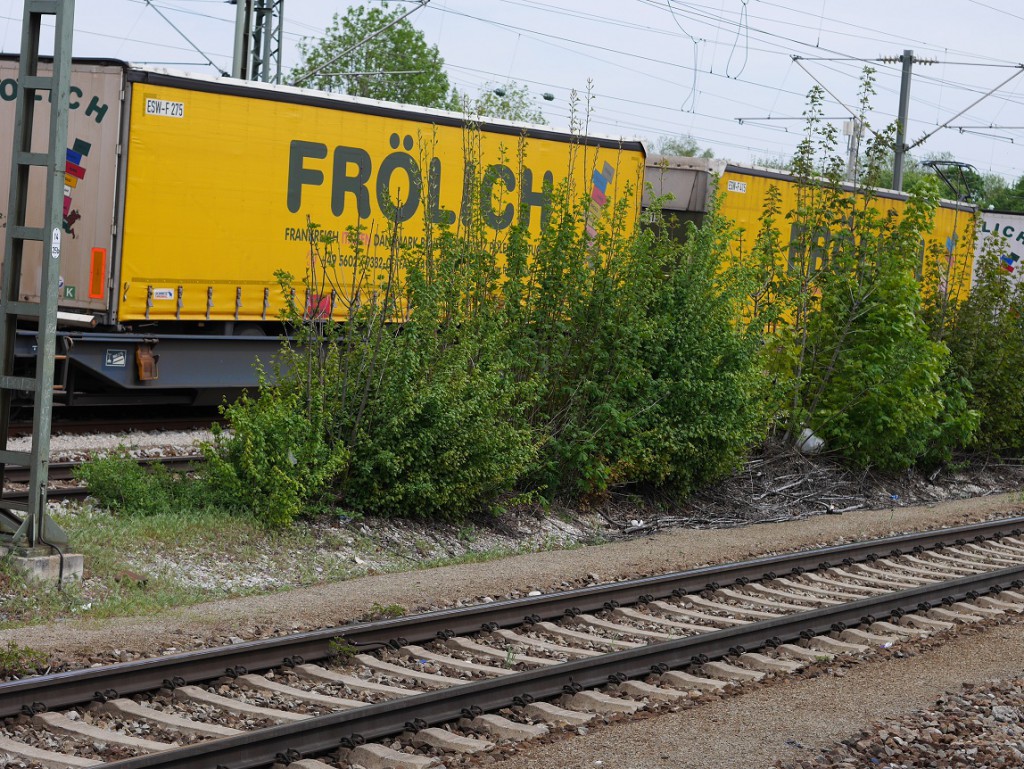 P3890037